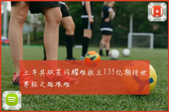 土耳其双星闪耀难救主135亿期待世界杯之路艰难